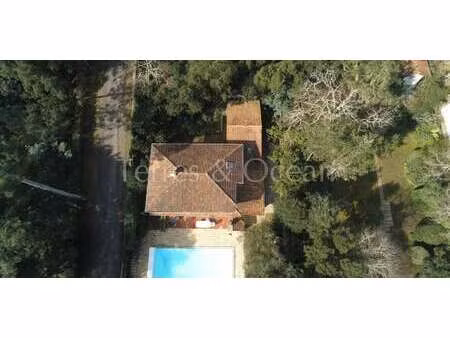 maison avec piscine et jardin soorts-hossegor (40)