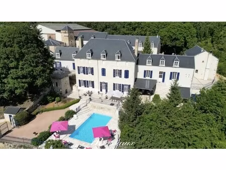 château à vendre à dissangis