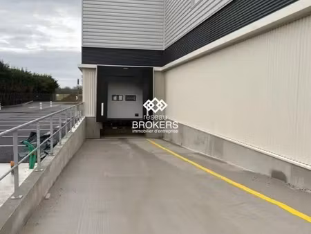 immobilier professionnel à louer saint-aignan-grandlieu