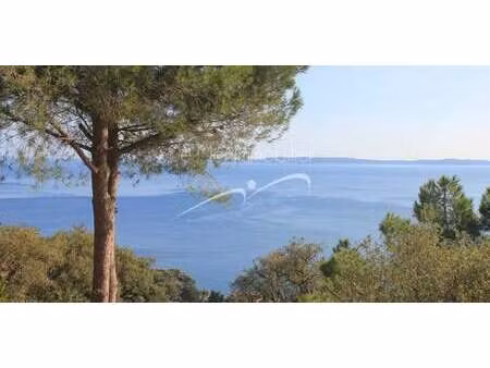 terrain avec vue panoramique le lavandou (83)