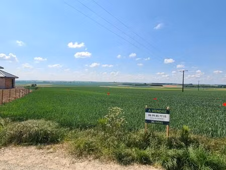 terrain constructible