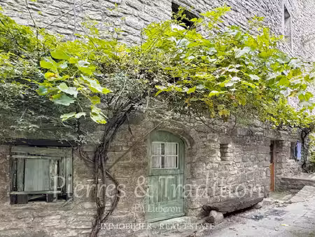 exclusivité ! magnifique maison de village avec terrasse et vue