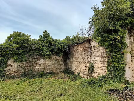 vente terrain à benet (85490)  43 000 €