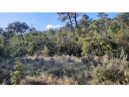 vente terrain 1435 m² à carnas (30260)  10 000 €