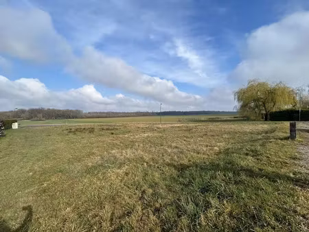 vente terrain à batir 1221 m² à bucey-lès-gy (70700)  43 000 €