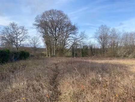 vente terrain 7682 m² à rogny-les-sept-ecluses (89220)  59 000 €