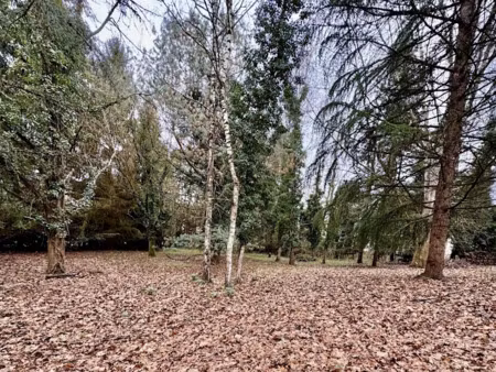 vente terrain 1800 m² à sarlat-la-caneda (24200)  69 900 €