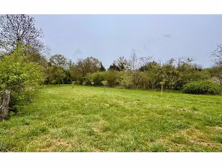 terrain jeandelaincourt m² t- à vendre  39 000 €