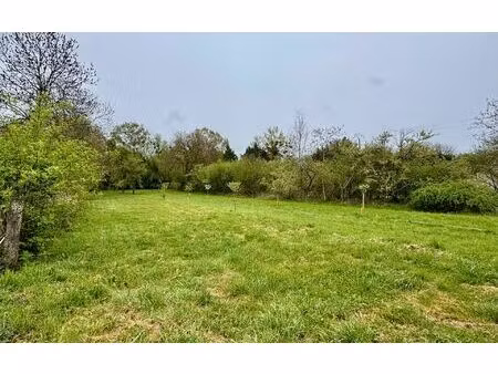 terrain jeandelaincourt m² t- à vendre  45 000 €