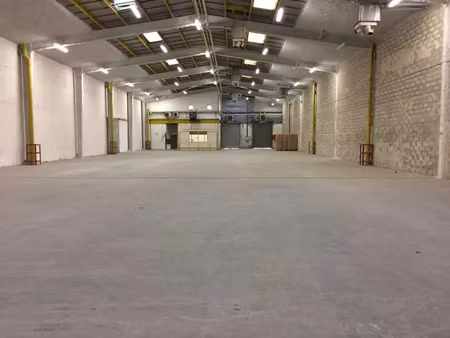 local d'activités de 750m²