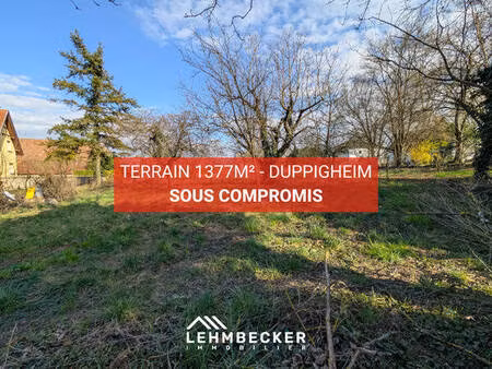 terrain 1377m² - duppigheim