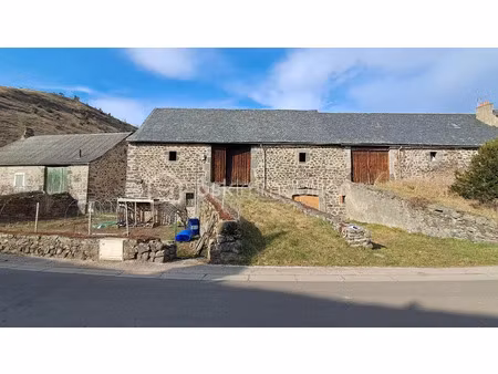 vente ferme 1 pièce 224 m² à neussargues-moissac (15170)  31 000 €