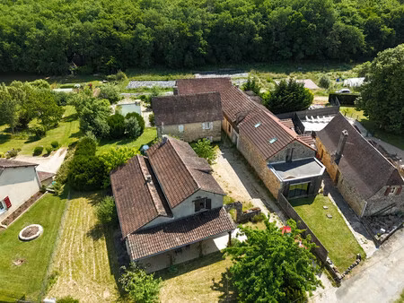 maison à vendre à saint-léon-sur-vézère (24290) - dordogne