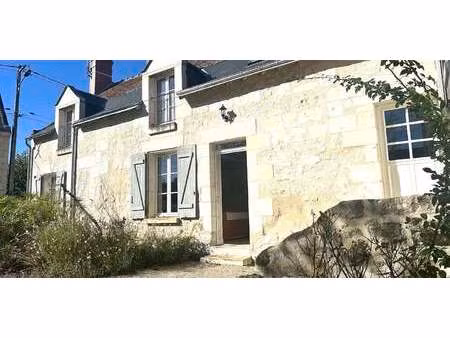 maison avec piscine et jardin bréhémont (37)