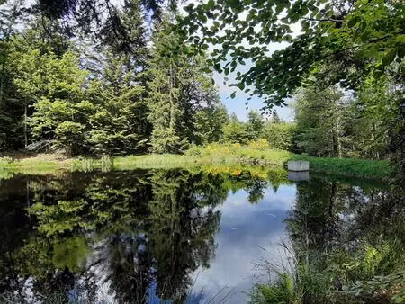 etang 9268 m2 plateau des mille étangs
