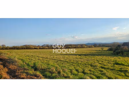 terrain labastide monrejeau 951 m2