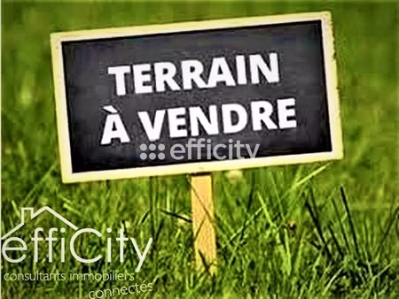 terrain - 650 m²