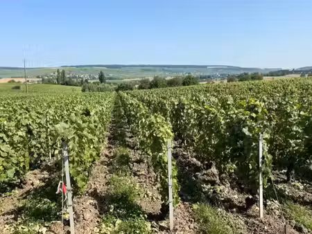 vente terrain cuchery 51480 - - surface privée