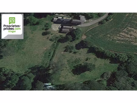 viager 1 tête 1 homme 77 ans bouquet seul 400 000 possibilité d'exploiter hangar et terrai