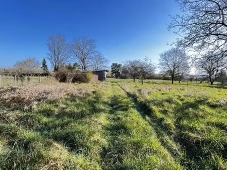vente terrain 3965 m² à noyers-sur-cher (41140)  45 000 €