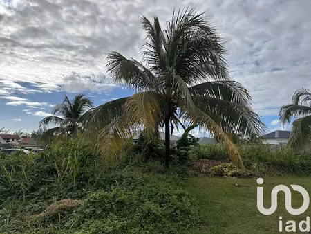 vente terrain 500 m² à capesterre belle eau (97130)  94 000 €