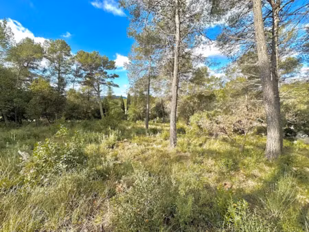 vente terrain à batir 1100 m² à saint-paul-en-forêt (83440)  160 000 €