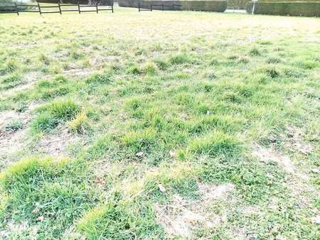 vente terrain à maen-roch (35460) : à vendre / 1200m² maen-roch