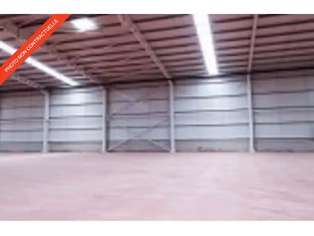 local d'activite a louer