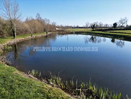 superbe étang en pleine campagne