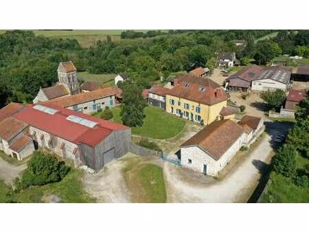 maison de luxe à vendre à torcy-en-valois : 1 360 000 € | 400m²