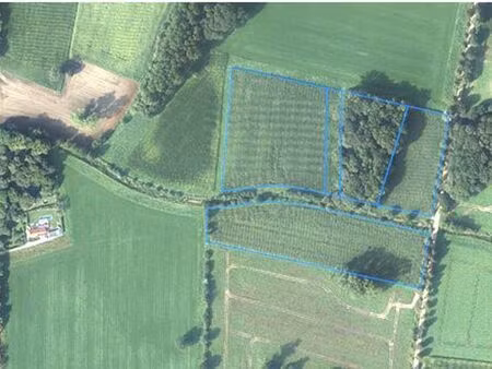 terrain à vendre à westerlo € 295.000 (l5d74) - bvba vastgoed de cat | zimmo