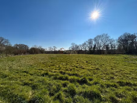 terrain constructible secteur argences 7991 m2