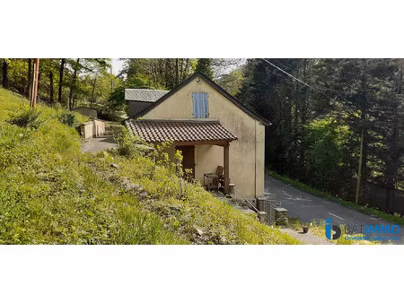 maison terrain vallée du tarn
