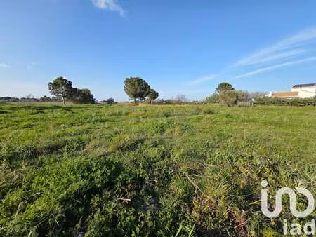 vente terrain à perpignan (66000) : à vendre / 2689m² perpignan