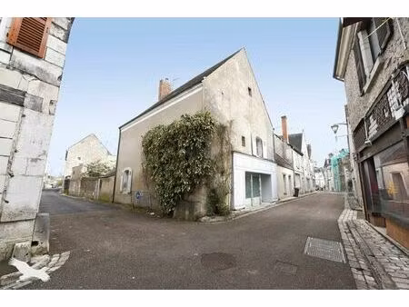 vente maison 4 pièces 169 m² pontlevoy (41400)