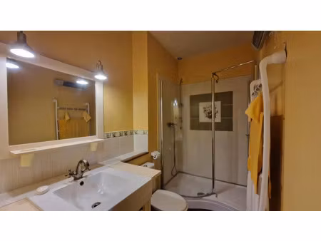 vente maison 16 pièces 495 m² bellocq (64270)