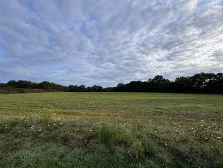 vente terrain 682 m² à sainte-foy (85150)  96 300 €