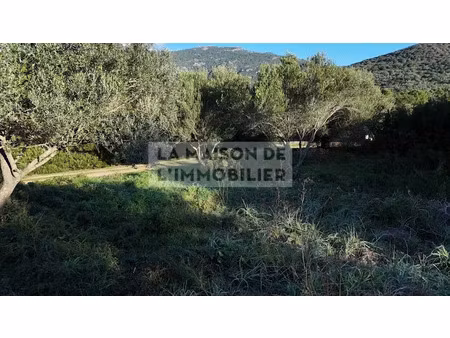 vente terrain à batir 1500 m² à figari (20114)  241 500 €