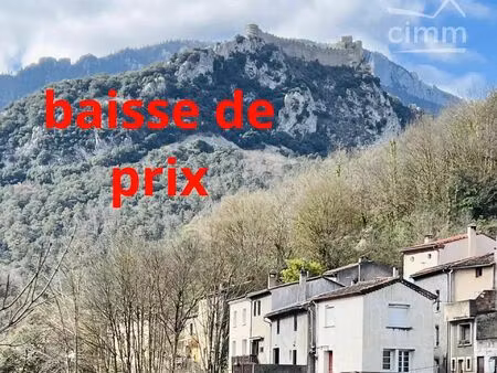 vente maison 8 pièces 140 m² puilaurens (11140)