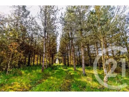 maison à vendre - 4 pièces - 88 37 m2 - ruille froid fonds - 53 - pays-de-loire