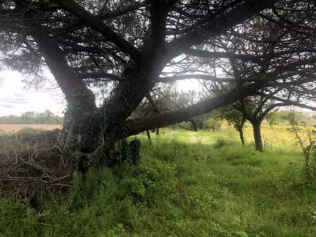 terrain de loisirs montaigu vendee