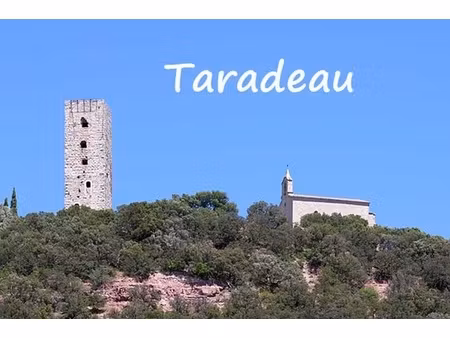 terrain - 10000 m²