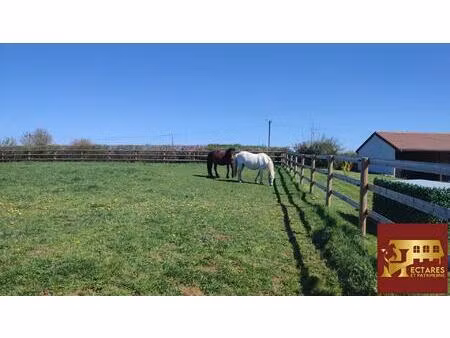 propriété équestre 54 hectares!