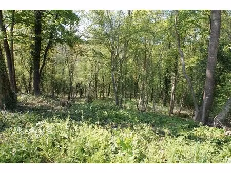 terrain constructible fontaine le port - 1056m²