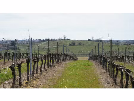 commerce à vendre à castelviel (33540) - gironde