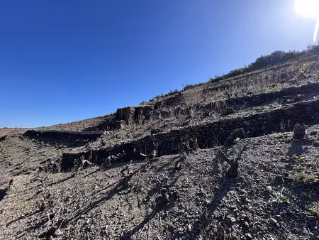 vente terrain 7900 m² à banyuls-sur-mer (66650)  27 500 €