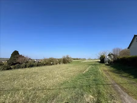 vente terrain 5977 m² à ligueil (37240)  28 750 €