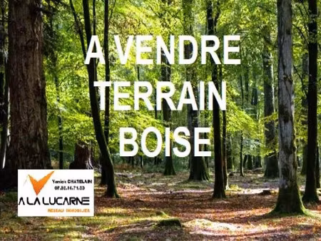 vente terrain 3450 m² à férel (56130)  8 125 €