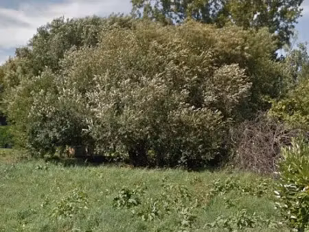 vente terrain 410 m² à seignosse (40510)  260 000 €