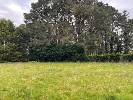 vente terrain à saint-lyphard (44410) : à vendre / 960m² saint-lyphard